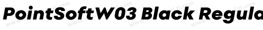 PointSoftW03 Black Regular字体转换